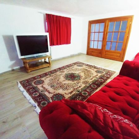 Casa Kotys Apartman Albestii Paminteni Kültér fotó