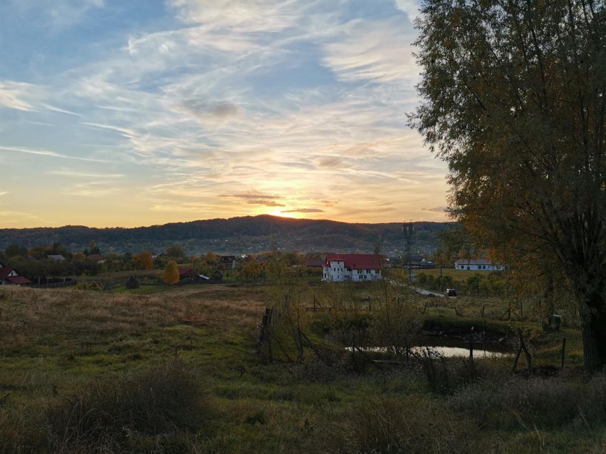 Casa Kotys Apartman Albestii Paminteni Kültér fotó