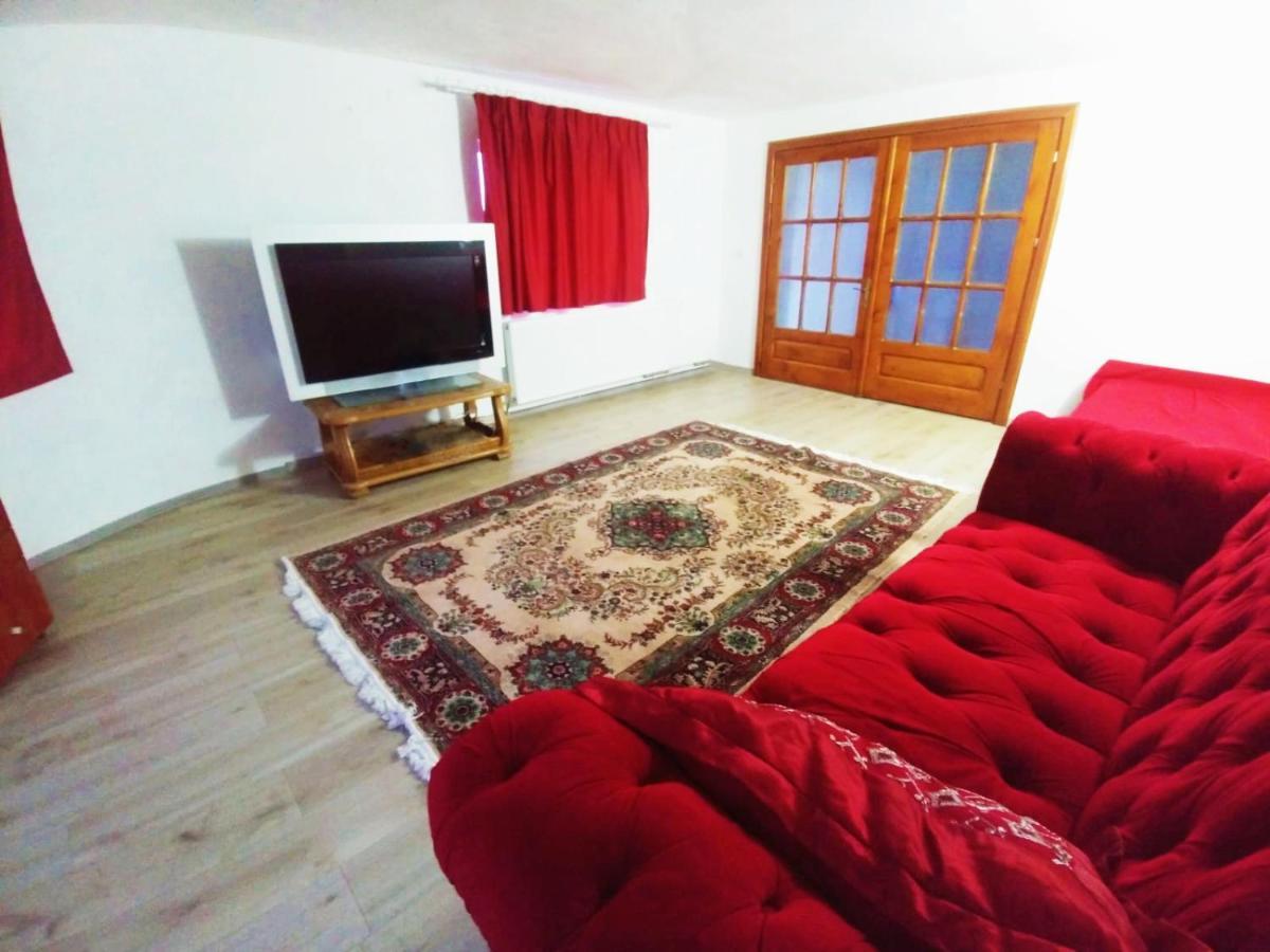 Casa Kotys Apartman Albestii Paminteni Kültér fotó