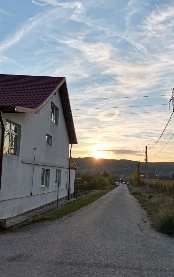 Casa Kotys Apartman Albestii Paminteni Kültér fotó