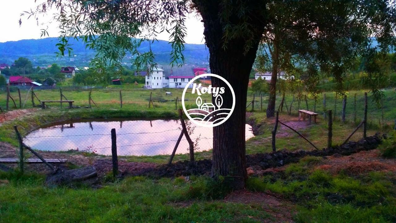Casa Kotys Apartman Albestii Paminteni Kültér fotó