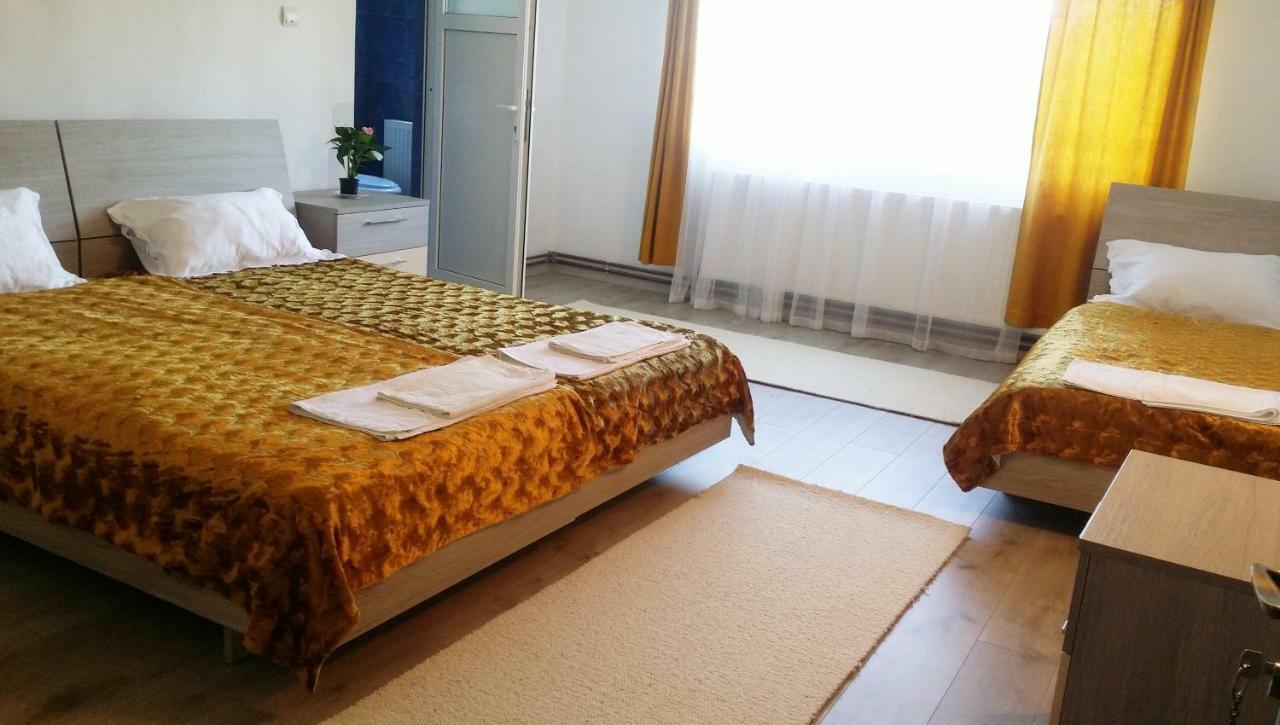 Casa Kotys Apartman Albestii Paminteni Kültér fotó