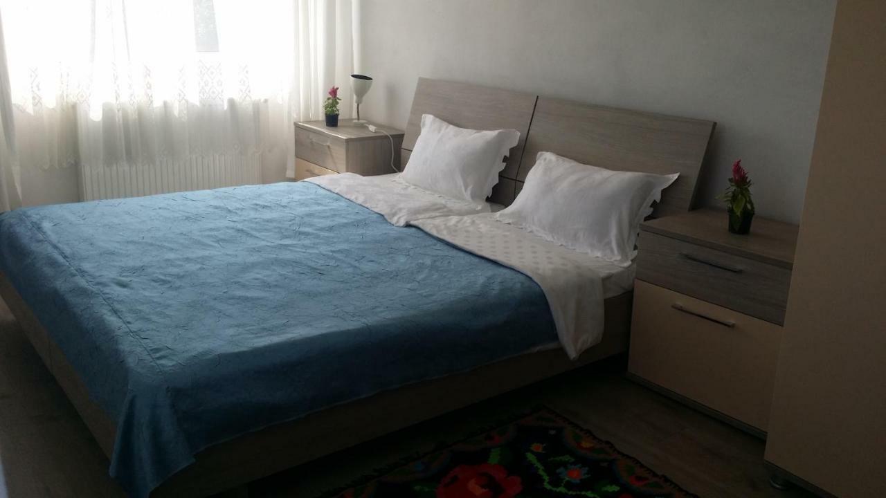 Casa Kotys Apartman Albestii Paminteni Kültér fotó