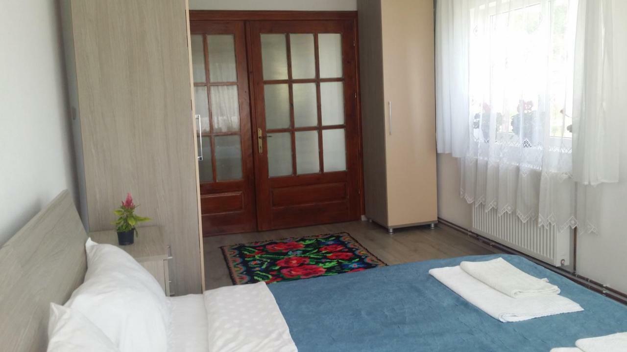 Casa Kotys Apartman Albestii Paminteni Kültér fotó